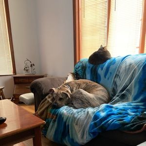 Meet your Posher, Nate